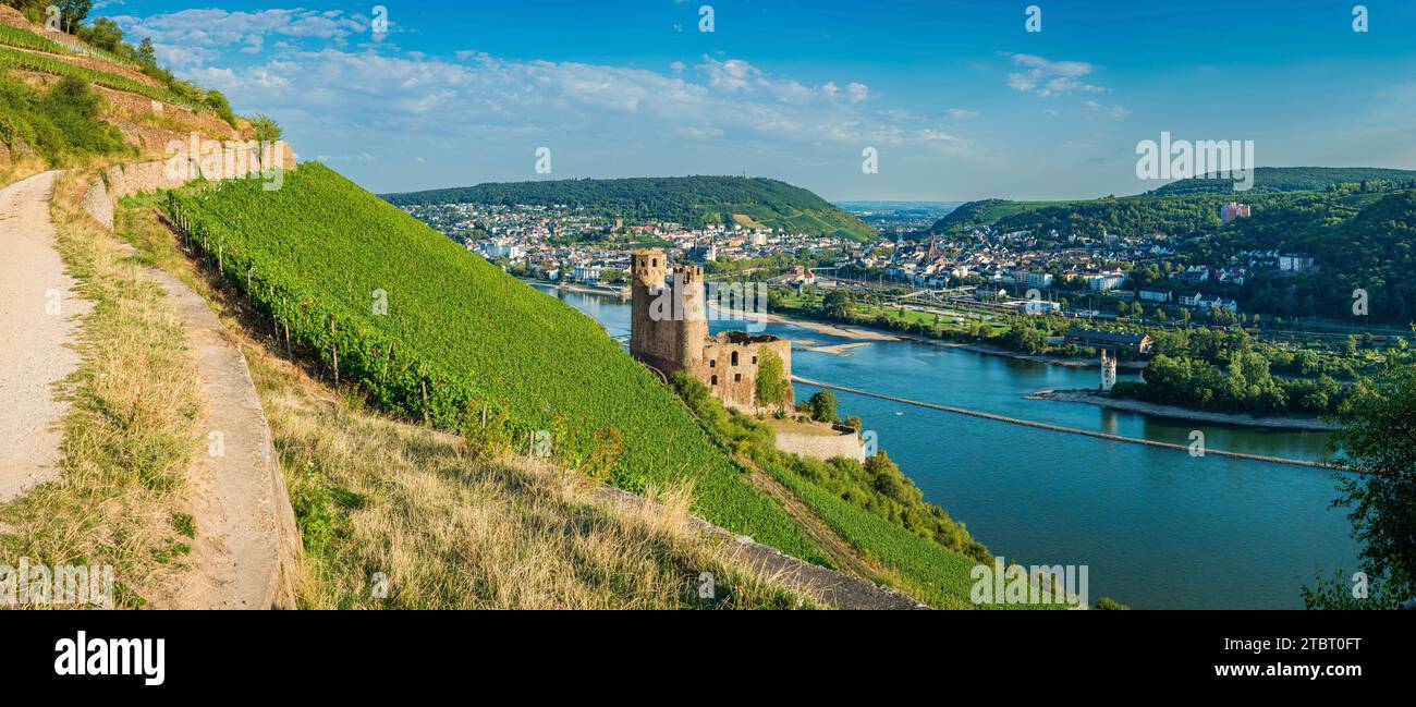 Deutschland, Hessen, Burg Ehrenfels, Mäuseturm und Binger Loch, dahinter Bingen und Bingerbrück, hier beginnt das Mittelrheintal Stockfoto