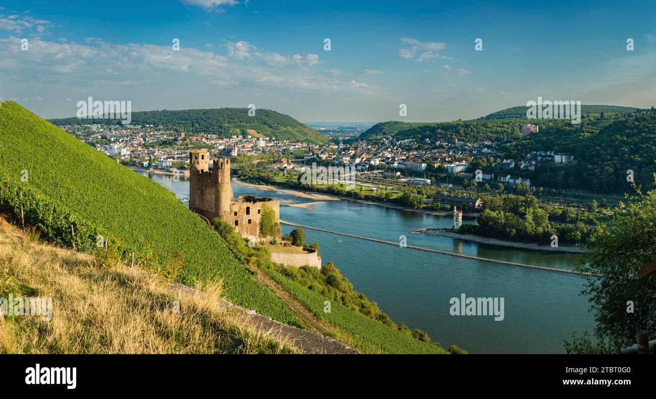 Deutschland, Hessen, Burg Ehrenfels, Mäuseturm und Binger Loch, dahinter Bingen und Bingerbrück, hier beginnt das Mittelrheintal Stockfoto