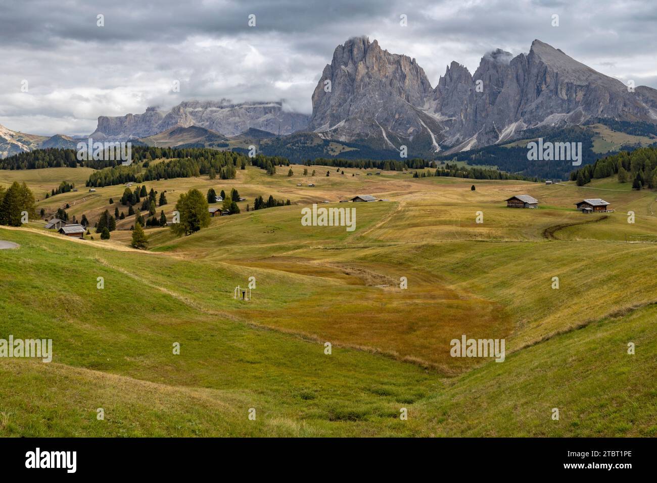 Die Seiser Alm im Herbst mit Blick auf den Langkofel Stockfoto
