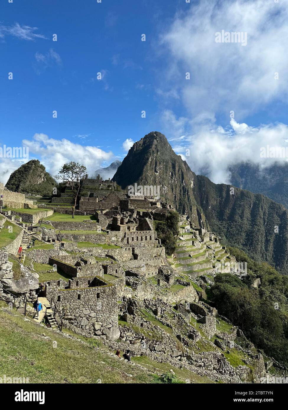 Macchu Picchu, Peru. Eine alte Zivilisation in den grünen Bergen Perus Stockfoto