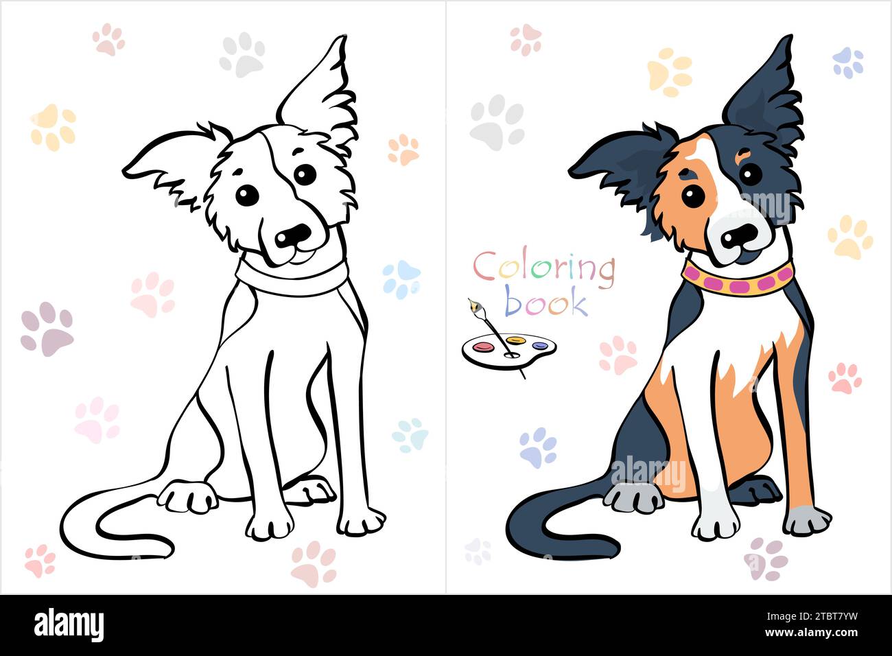 Vector Coloring Book Seite der Hundegrenze Collie Rasse dreifarbiger Hund sitzend Stock Vektor