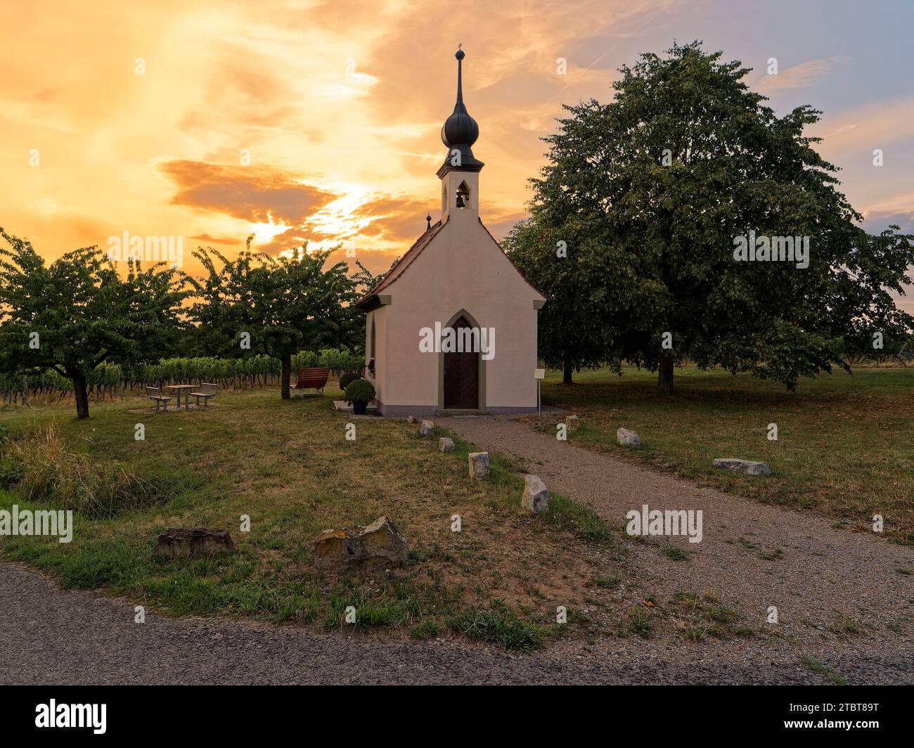 Kleine Kapelle in den Weinbergen bei Lindach am Main bei Sonnenuntergang, Landkreis Schweinfurt, Unterfranken, Franken, Bayern, Deutschland Stockfoto