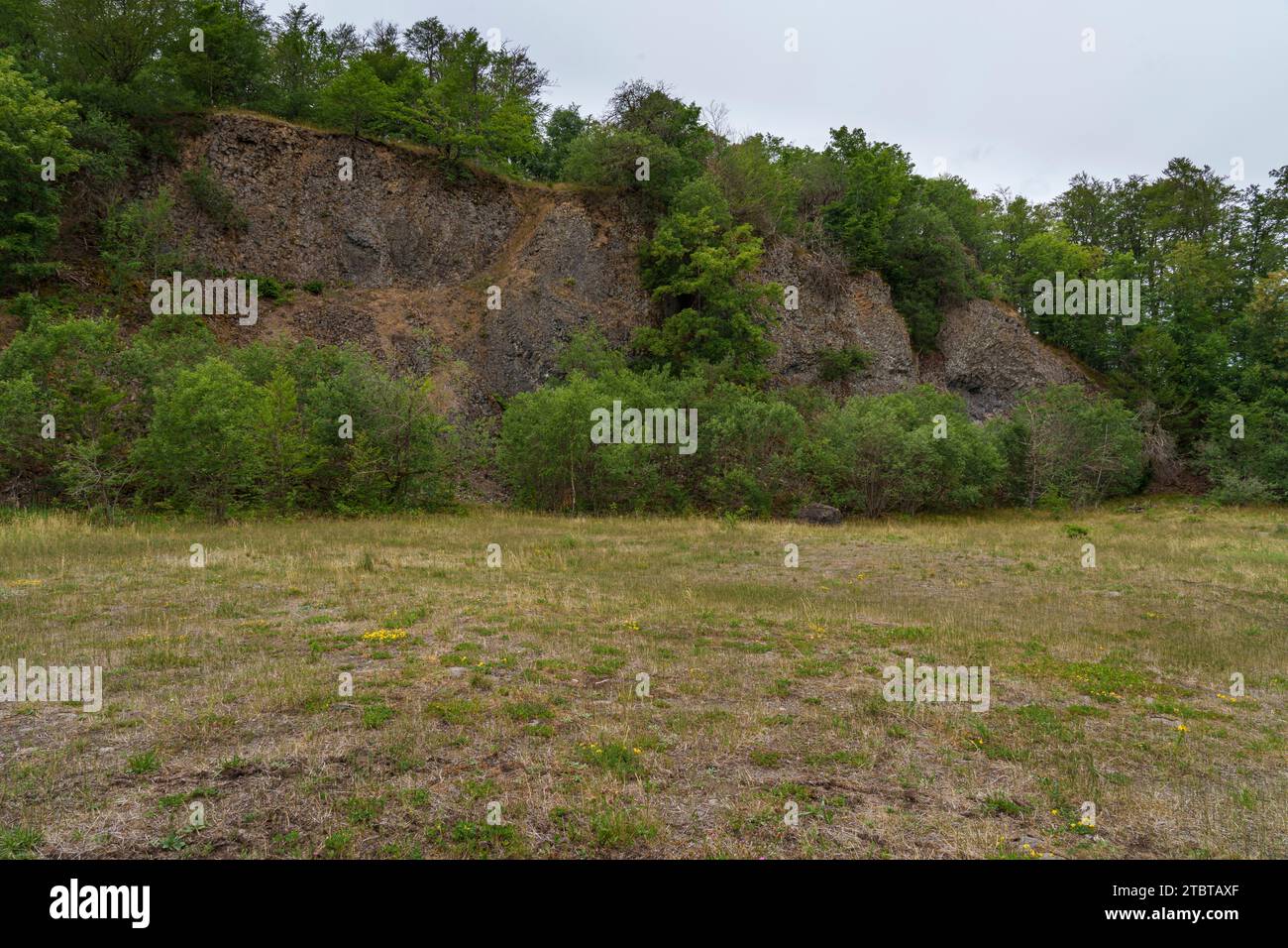Geotope Bellevue ein ehemaliger Basaltbruch am Kellerstein im