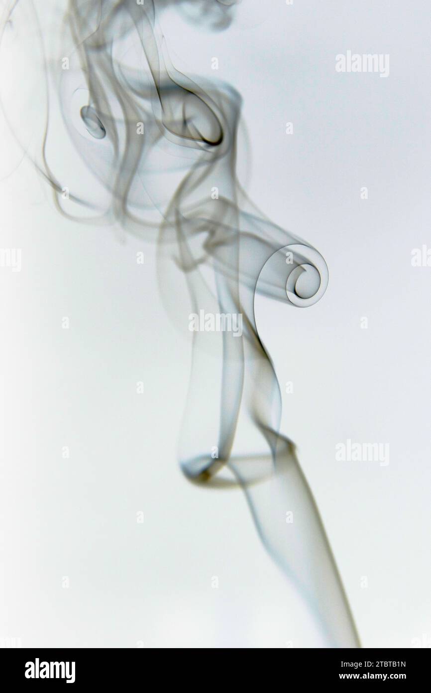 Abstrakter Räucherrauch wirbelt in weichem Licht und weißem Hintergrund Stockfoto