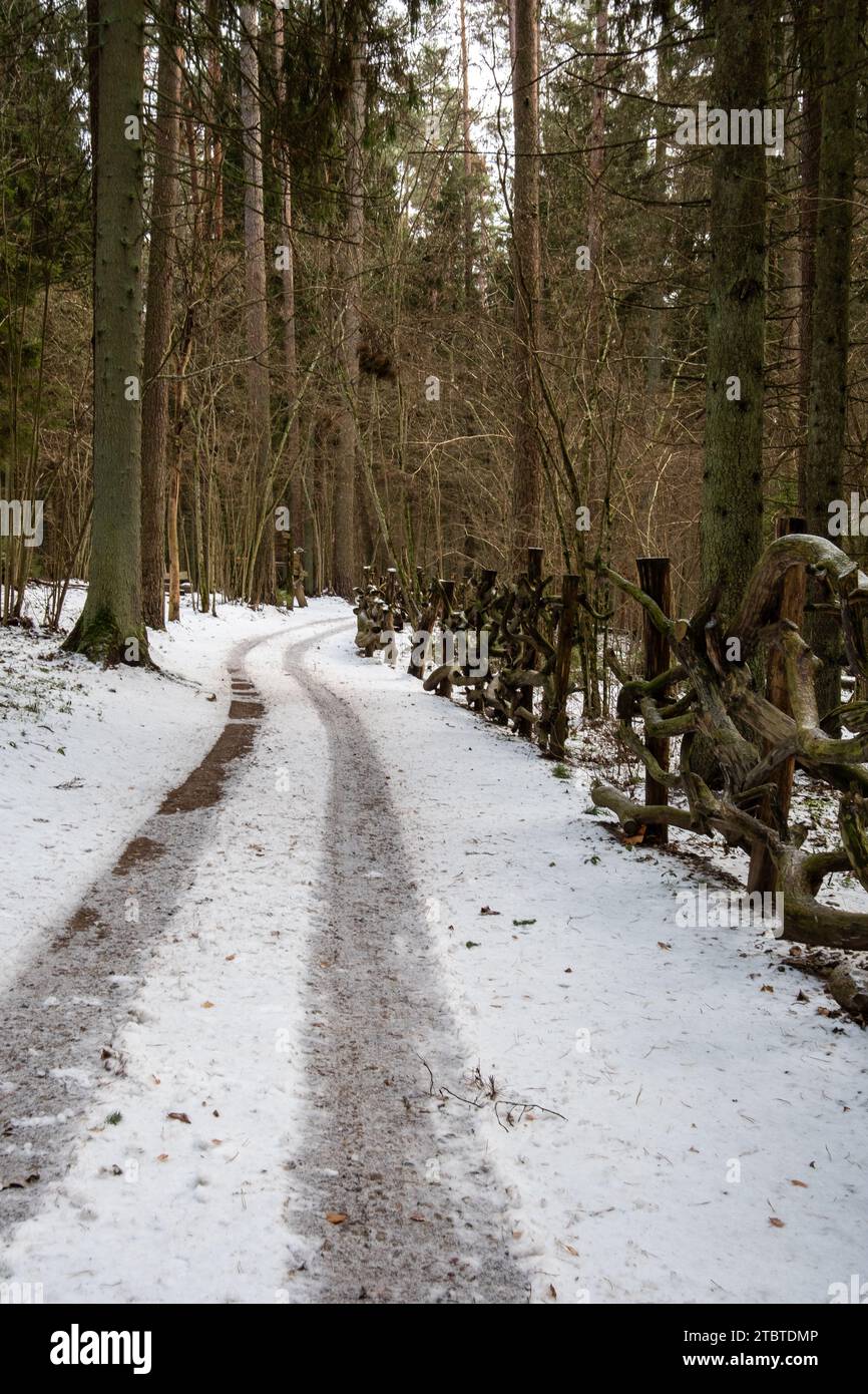 Genießen Sie die Ruhe eines Winterspaziergangs inmitten der unberührten Wälder von Tervete Stockfoto