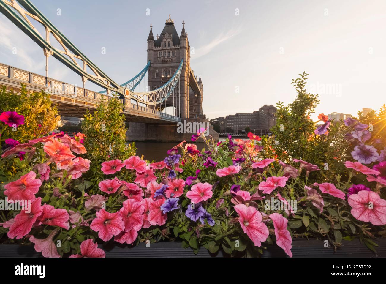 Themse, Tower Bridge und London, England Stockfoto