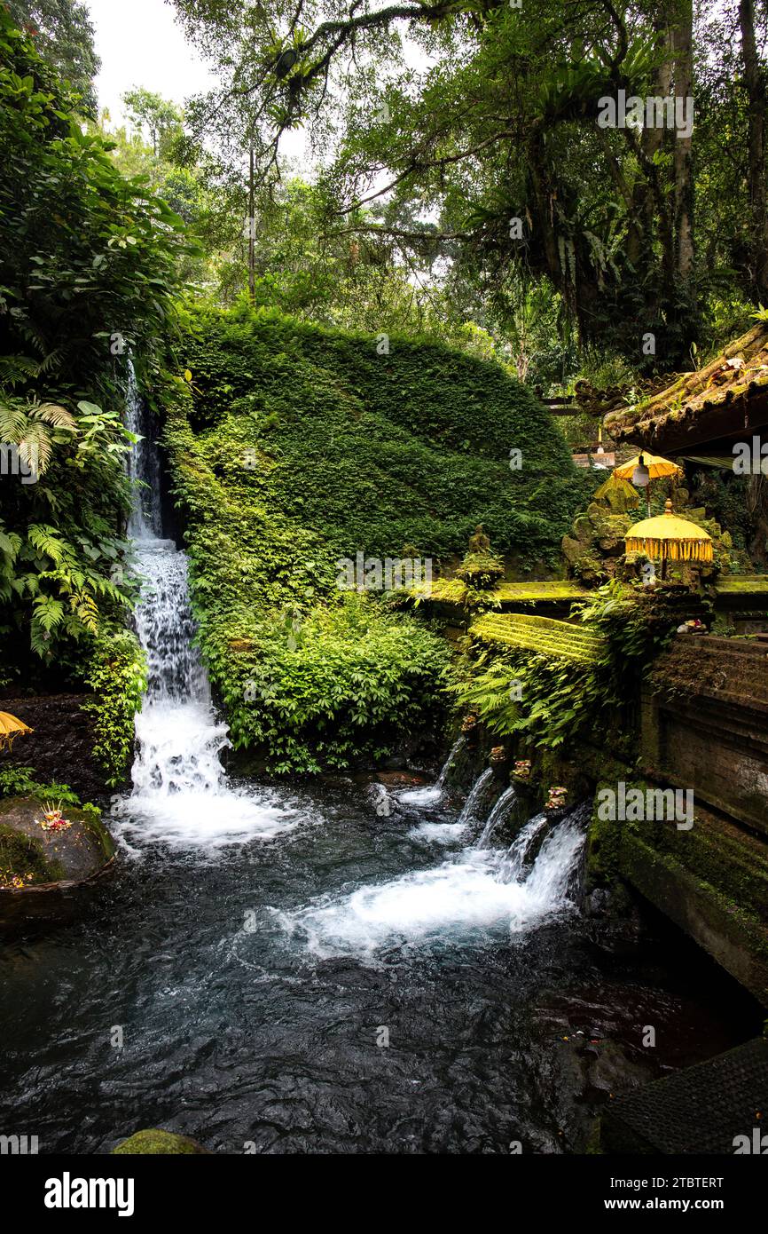 Ein kleiner Tempel, der für heilige Waschungen genutzt wurde, verzaubert und mit Moos bedeckt, mit Opfergaben, schönen Statuen und vielem mehr, heiligen Quellen und Weihwasser in Bali, Indonesien Stockfoto