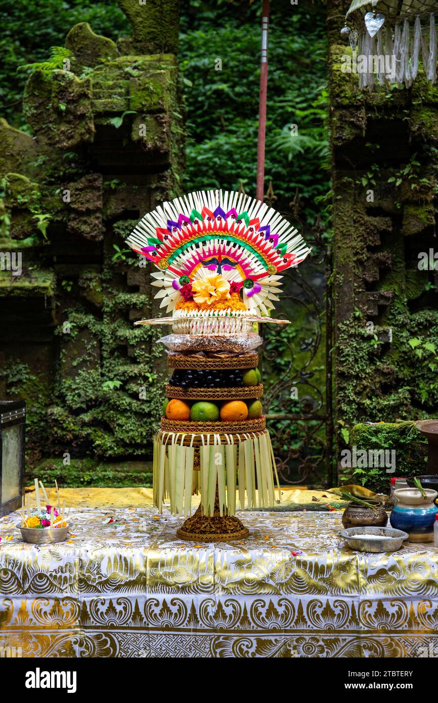 Ein kleiner Tempel, der für heilige Waschungen genutzt wurde, verzaubert und mit Moos bedeckt, mit Opfergaben, schönen Statuen und vielem mehr, heiligen Quellen und Weihwasser in Bali, Indonesien Stockfoto