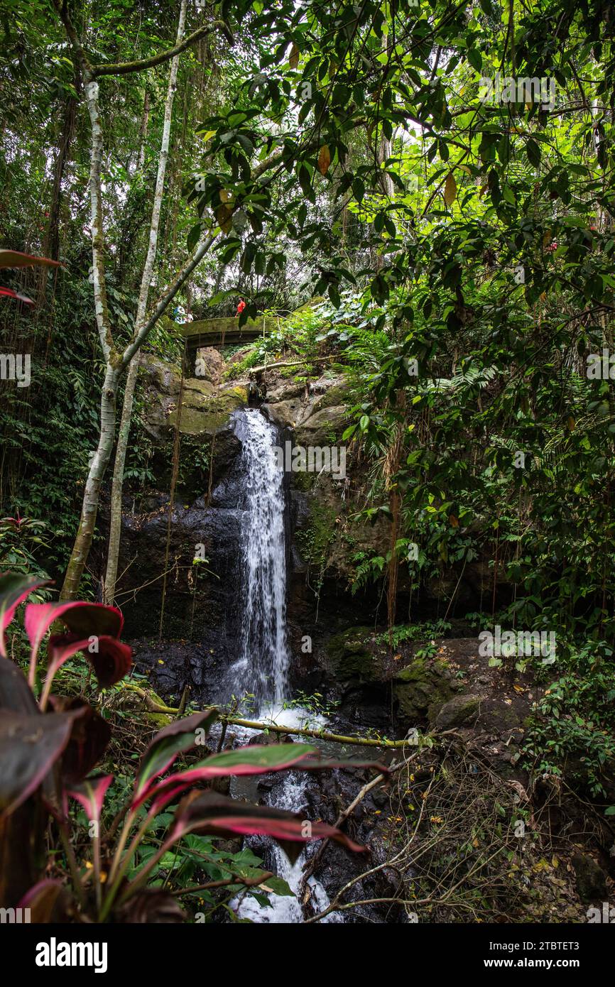 Goa Gajah - Elefantenhöhle, dieser Park-ähnliche Tempelkomplex bietet einen großen Garten mit alten Bäumen und tropischen Pflanzen, verzauberte Wege führen durch den Komplex auf Bali Stockfoto