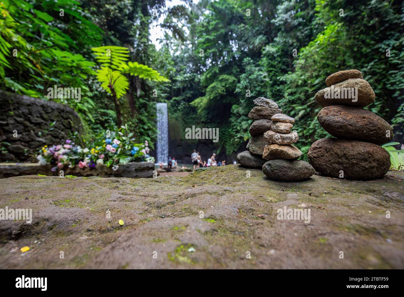 Tibumana Wasserfall, ein kleiner breiter Wasserfall in einer grünen Schlucht, der Fluss fließt in einen Pool mitten im Wald, Ausflugsziel in der Nähe von Ubud, Bali Stockfoto