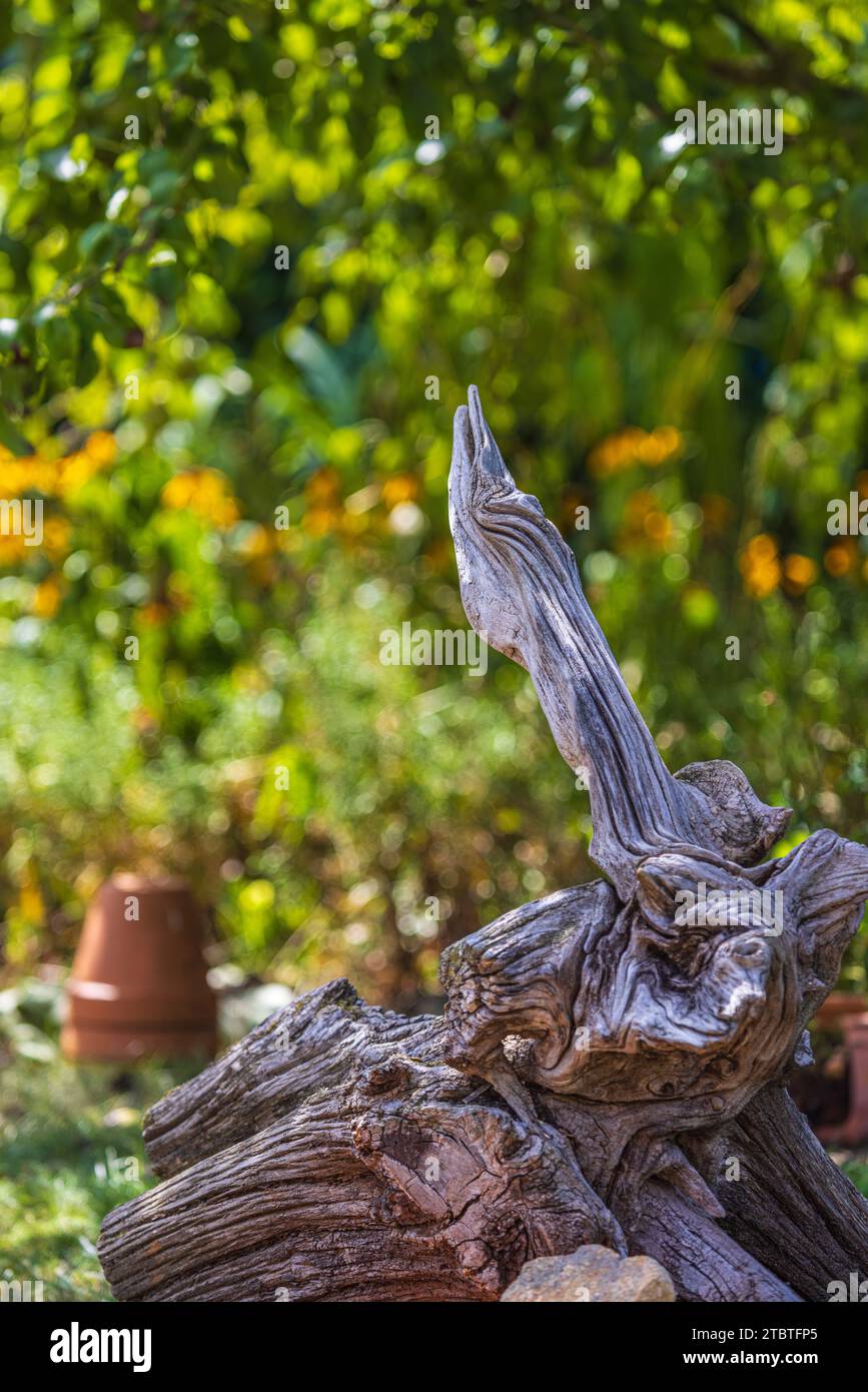 Gartendekoration, alter Baumstamm mit Wurzeln Stockfoto