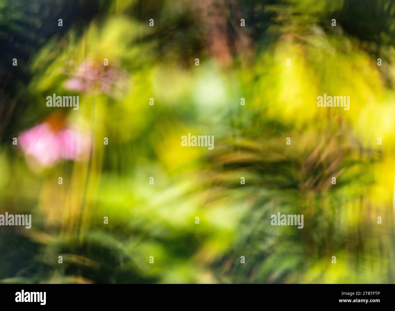 Defokussierter abstrakter Naturhintergrund Stockfoto