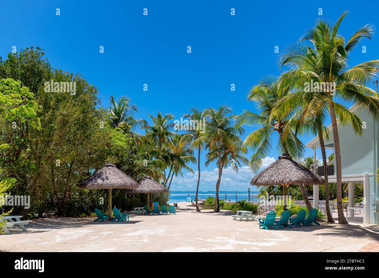 Wunderschöner Strand im tropischen Inselresort Key Largo. Florida Stockfoto