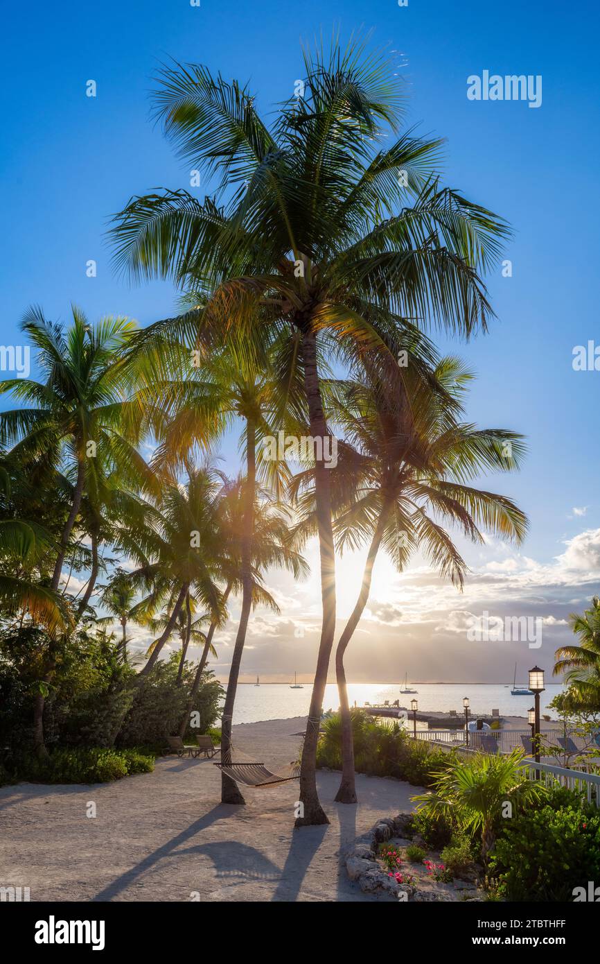 Sonnenuntergang an Palmen im tropischen Resort an einem wunderschönen Strand auf einer tropischen Insel. Stockfoto