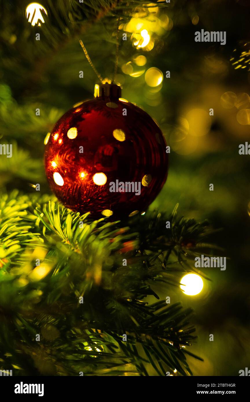 Ein festliches rotes Weihnachtsschmuck hängt am üppig grünen Zweig eines geschmückten Weihnachtsbaums und schafft so eine wunderschöne Weihnachtsszene Stockfoto