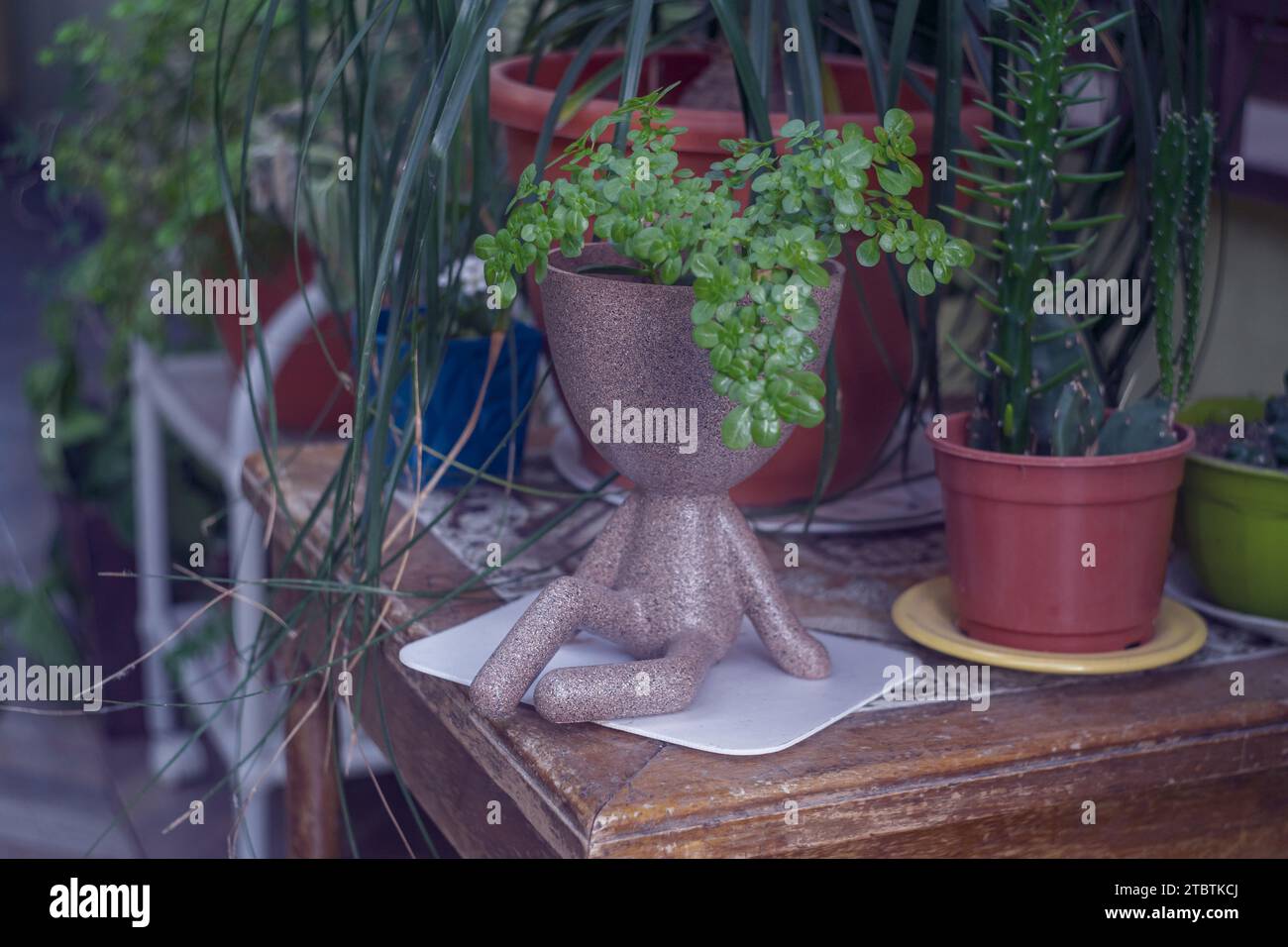 Blumentopf mit einem 3D-Drucker mit menschlichem Aussehen Stockfoto