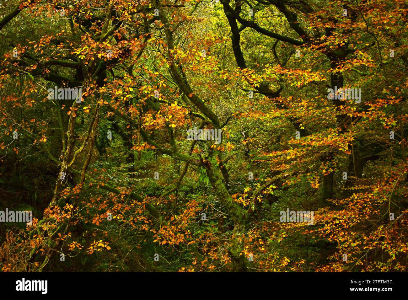 Die ruhige Ecke ist ein zeitgesteuerter Sonnenaufgang, der die Ruhe dieses friedlichen und doch gewöhnlichen Bildes unterstreicht. Stockfoto