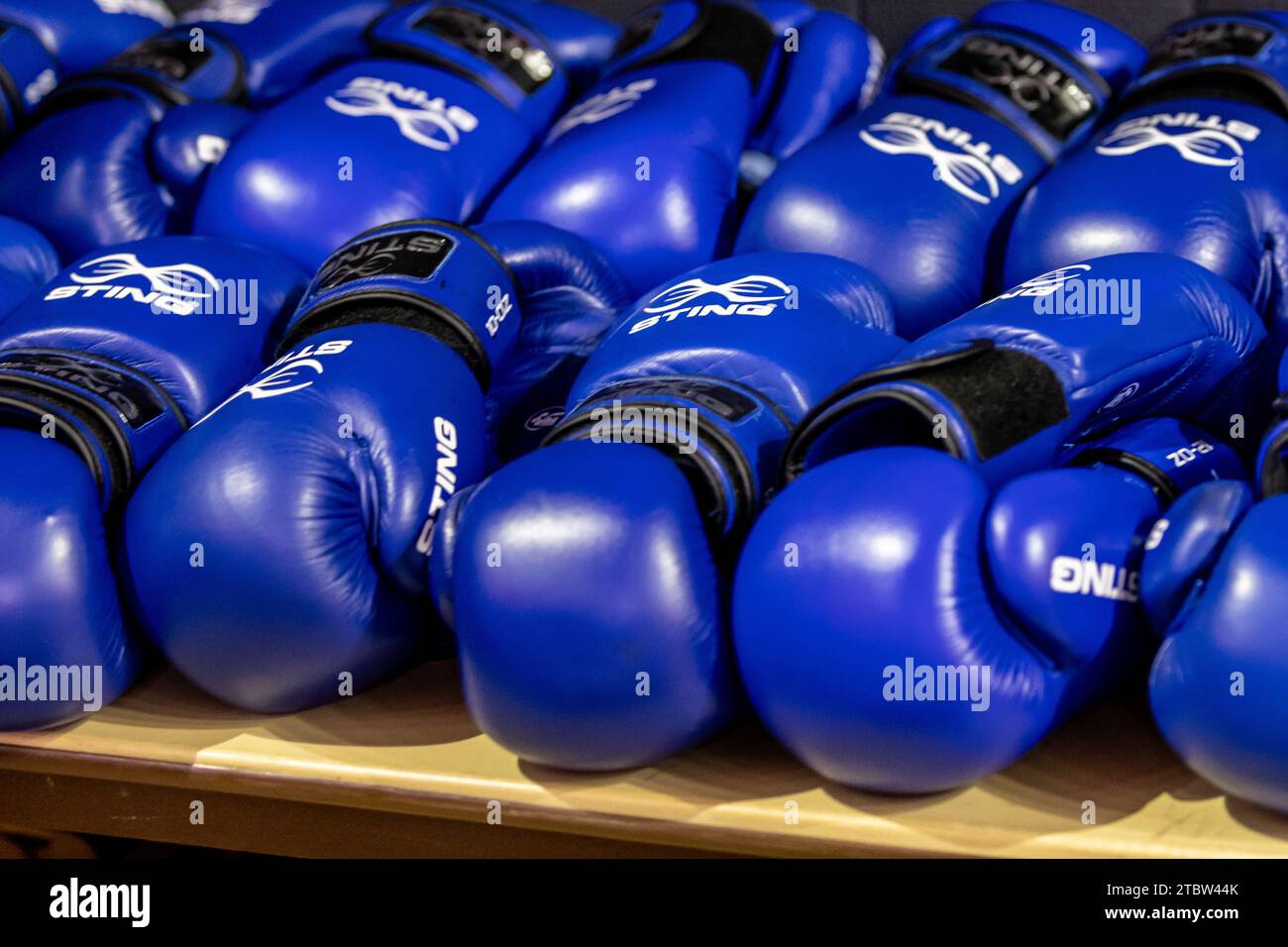 Offizielle Handschuhe werden vor den Kämpfen während der Olympischen Boxprozesse am Donnerstag, den 7. Dezember 2023 in Lafayette ausgetragen. Louisiana. (Kirk Meche/Bild des Sports) Stockfoto