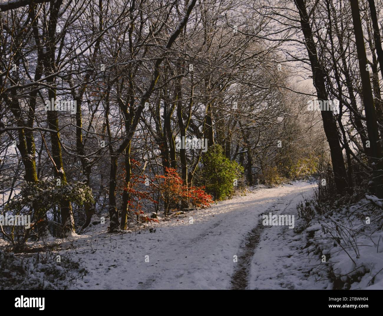 Gleich um die Ecke befindet sich ein saisonaler Wetterindikator, der symbolisiert, dass der Winter auf dem Vormarsch ist, sodass der Frühling seinen Jahreszustand übernimmt. Stockfoto