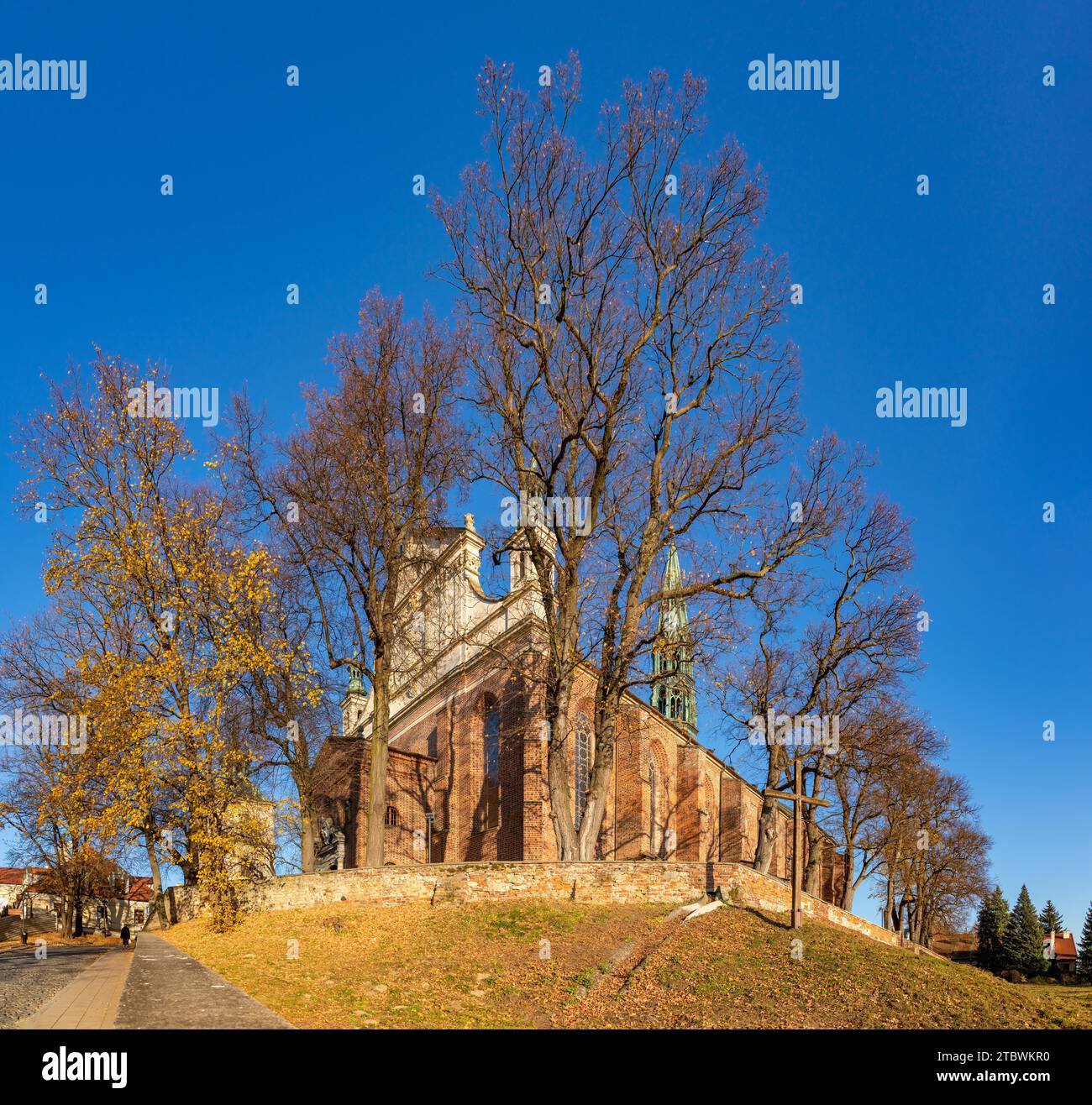 Ein Bild des Sandomierzer Doms im Herbst Stockfoto