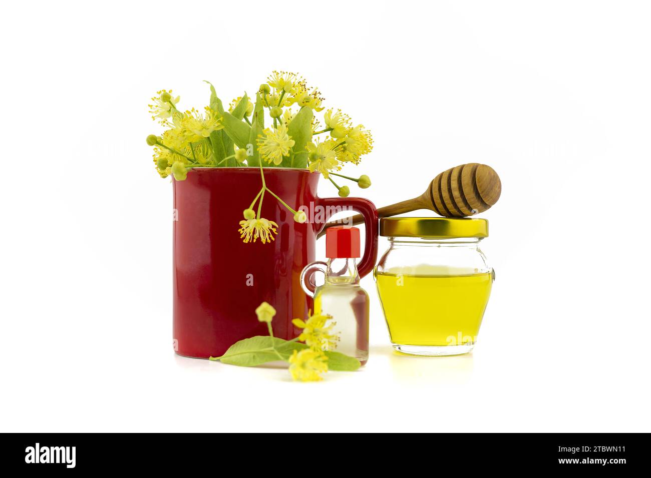 Frische Linden (Tilia) oder Blumen und Blätter in einem roten Becher in der Nähe eines hölzernen Stabes auf einem Glas Honig auf weißem Hintergrund, alternative Heilung Stockfoto