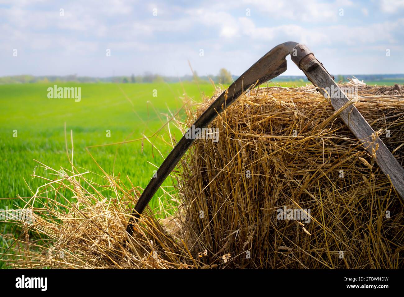 Scythe ruht sich im Frühjahr in einer landwirtschaftlichen Landschaft auf einem saftig grünen Farmfeld gegen frisch geerntetes Heu aus Stockfoto