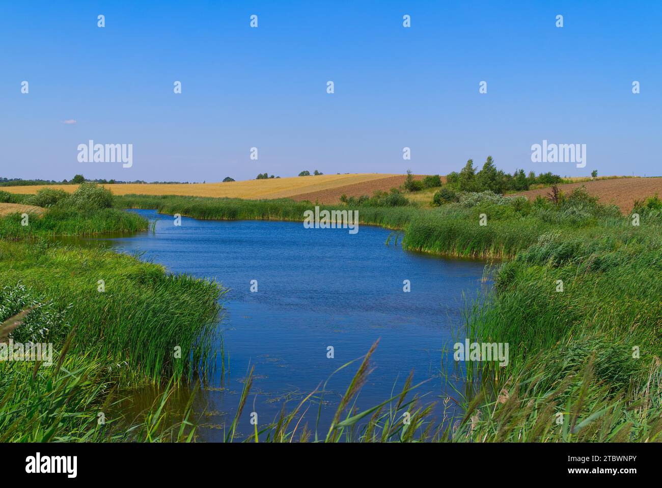 Fluss mit üppigen grünen Ufern schlängelt sich durch Ackerland mit Getreidefeldern und Pflügen bereit für die neue Ernte in einer malerischen Landschaft Stockfoto