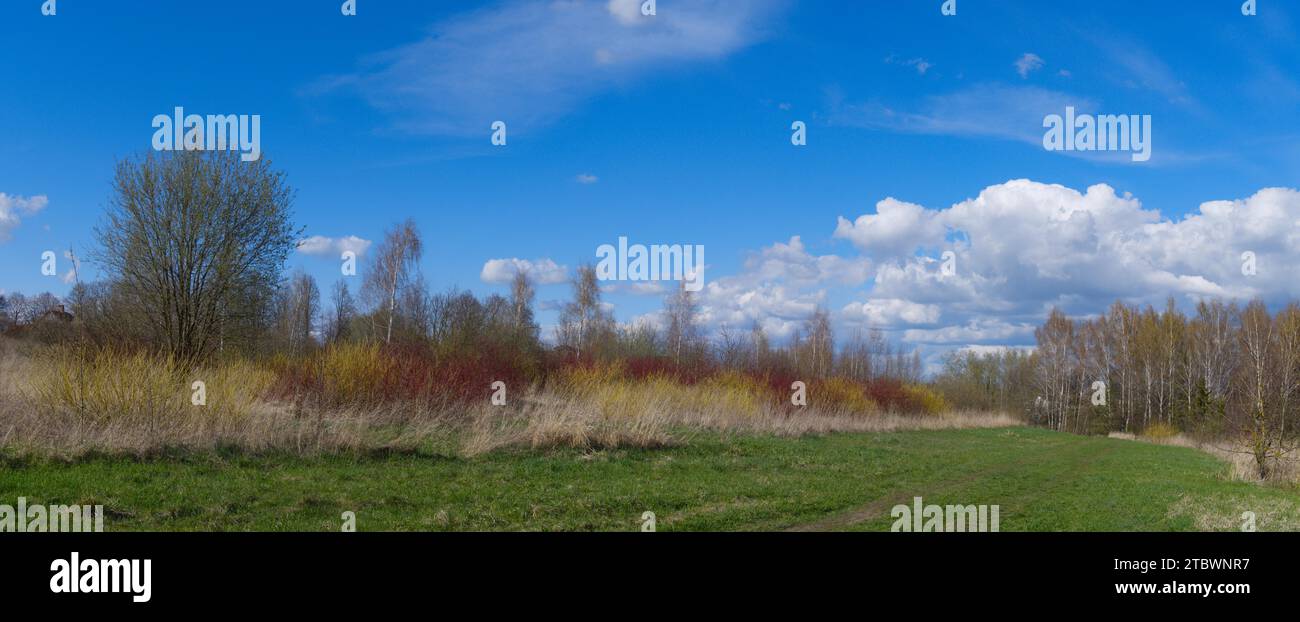 Üppig grünes Grasfeld, umgeben von Waldbäumen und farbenfrohen Sträuchern unter einem wolkenblauen Himmel, landschaftlich reizvolle Landschaft in einem Panorama-Banner Stockfoto
