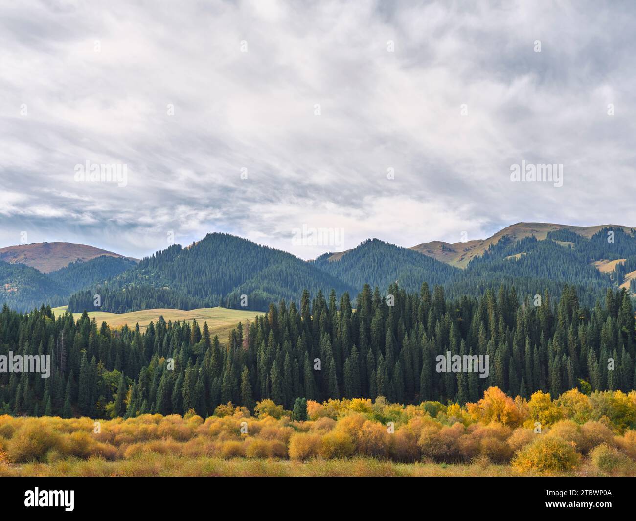 Herbstliche Landschaft mit Bergen, Wäldern, Bäumen und Büschen in xinjiang, china Stockfoto