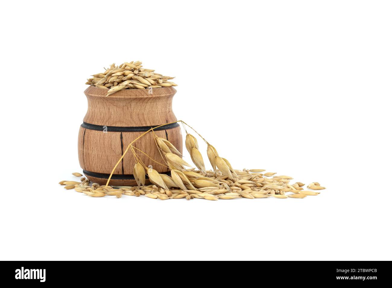 Haferkörner mit Rümpfen oder Schalen in kleinem Holzfass isoliert auf weißem Hintergrund. Landwirtschaft, Ernährung und Ernährung. Hafer (Avena sativa) oder Stockfoto