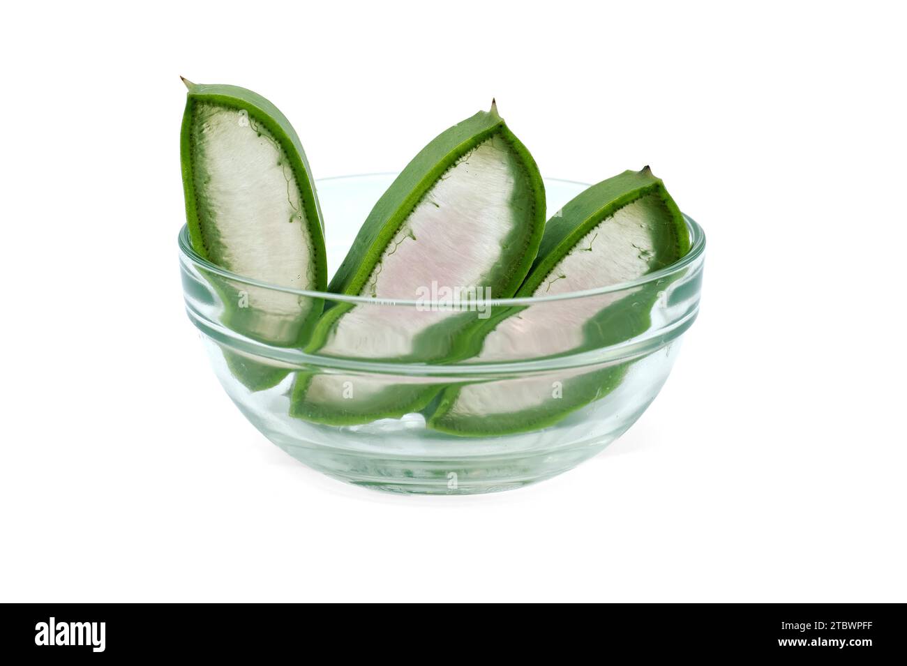 Aloe Vera-Blätter in Glasplatten isoliert auf weißem Hintergrund, organische kosmetische Inhaltsstoffe, alternative Medizin Stockfoto