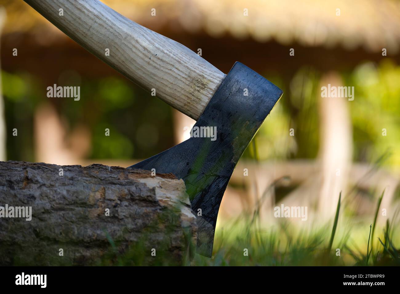 Axt oder Häcksler stecken in einem moosbedeckten Holzstamm in einem Wald, Nahaufnahme von der Seite. Konzept für Outdoor-Lifestyle oder Camping Stockfoto