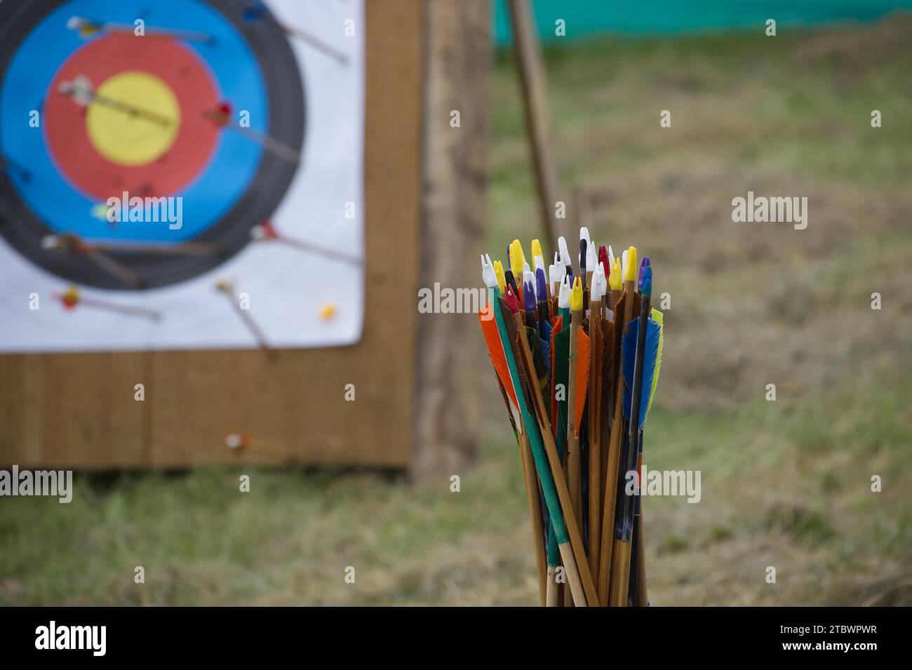 Bunte Bogenschießen-Pfeile im Nahbereich und unscharfe Zieltafel im Hintergrund Stockfoto