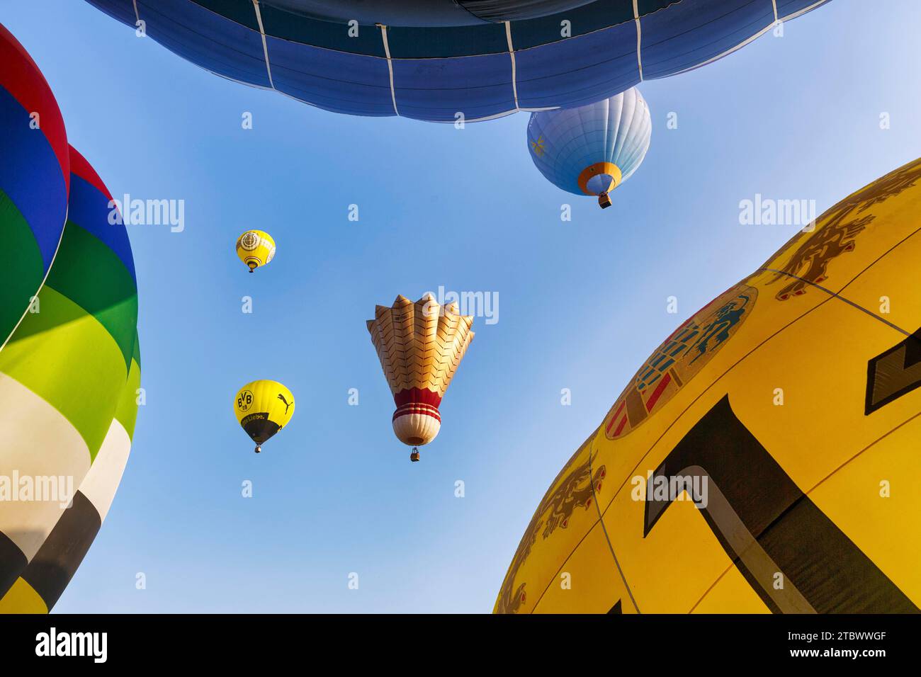 Vier Heißluftballons steigen in die Luft, Shuttlecock, Werbung für BVB, Blick von unten, Massenstart, Heißluftballonfest, 26. Warsteiner Stockfoto