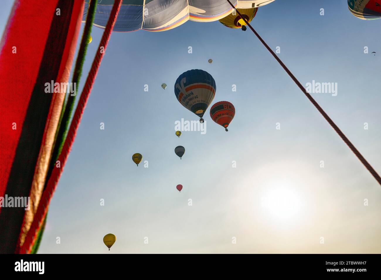 Unzählige Heißluftballons fliegen in den Himmel, Blick von unten, Massenstart, Heißluftballonfestival, 26. Warsteiner International Montgolfiade Stockfoto