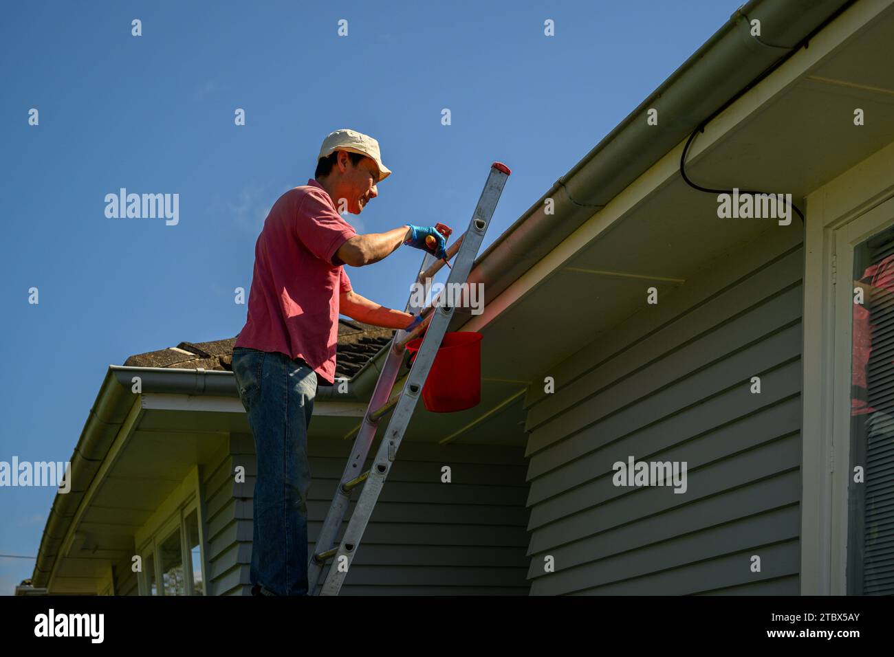 Mann, der auf der Leiter steht und die Rinne reinigt. Hauswartungsarbeiten. Auckland. Stockfoto