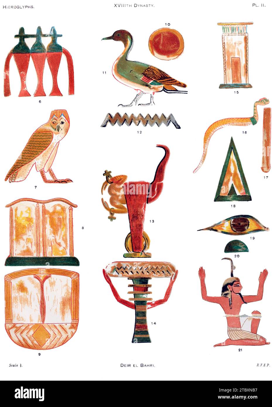 Hieroglyphen aus Deir EL Bahri, Illustration Stockfoto