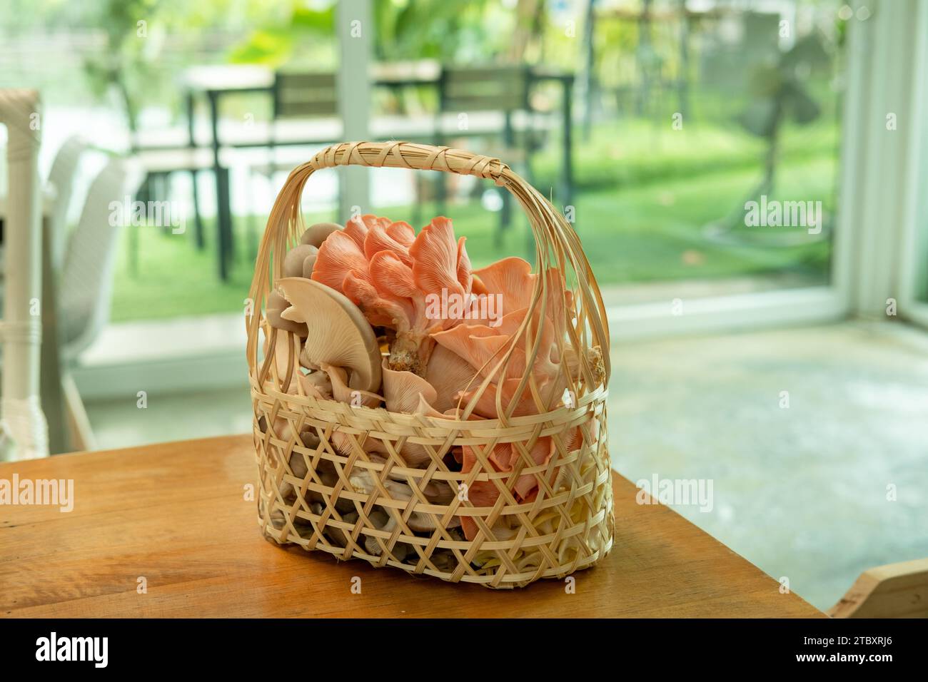 Korb mit verschiedenen Pilzarten auf dem Tisch Stockfoto