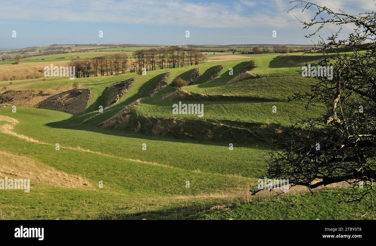Strippen Sie Lynchets auf dem Hügel in der Nähe von Bishopstone in North Wiltshire. Stockfoto
