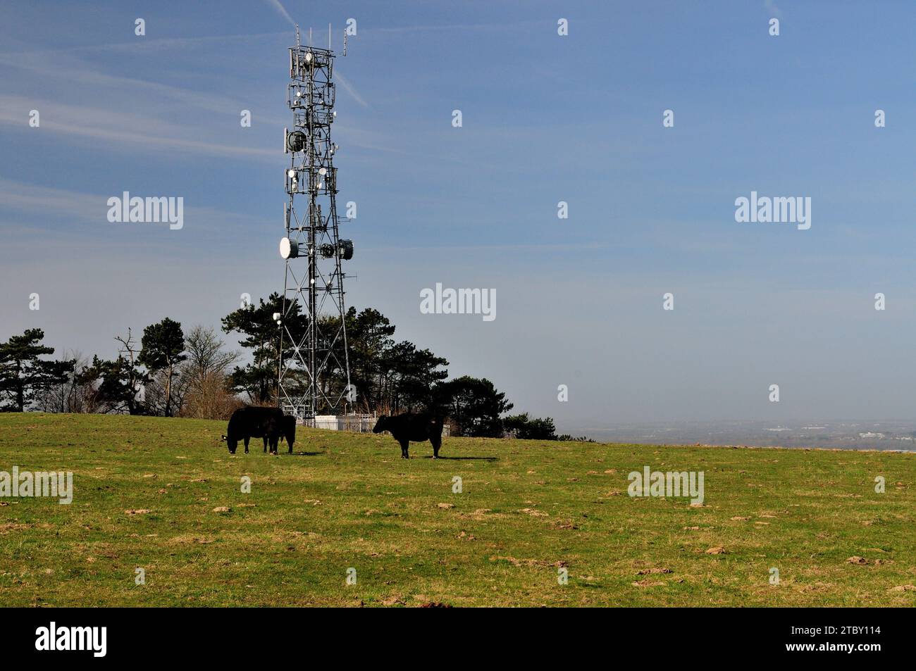 Fox Hill Kommunikationsmast bei Swindon, Wiltshire. Stockfoto