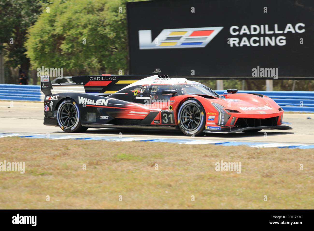 2023 IMSA WeatherTech Sportscar Championship 12 Stunden Sebring GTP Class #31 Cadillac V-Series.R Stockfoto