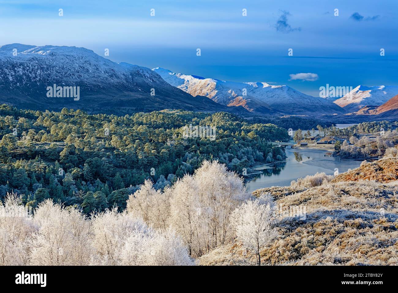 Glen Affric Cannich Schottland Wintersonne am Morgen über den Häusern Caledonian Pines und fernen schneebedeckten Hügeln Stockfoto