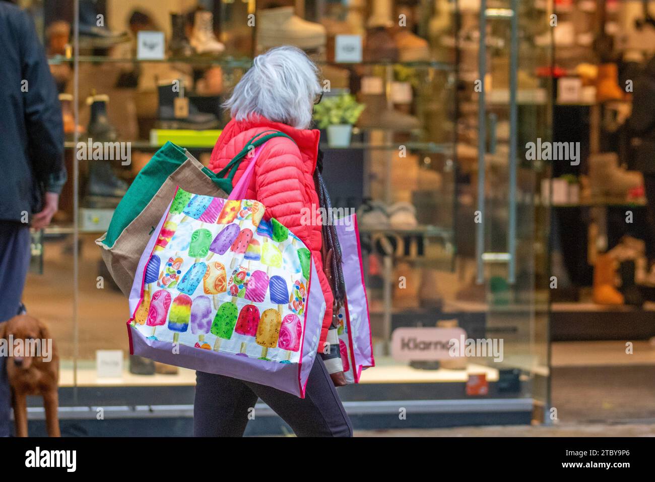 Frau mit mehreren großen mehrfarbigen wiederverwendbaren Weihnachtseinkaufstaschen in Preston, Großbritannien. Dezember 2023. Weihnachtsläden, Shopper, Einkaufen an einem nassen Tag in der Fishergate High Street. Kredit ; MediaWorldImages/AlamyLiveNews Stockfoto