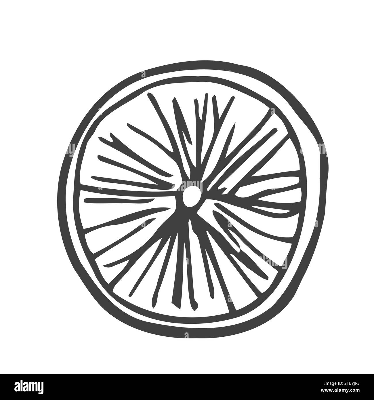 Orangen-Zitronenscheibe in skizzengraviertem Stil, isoliert auf weißem Hintergrund. Vektor-handgezeichnete Illustration in Doodle-Umrisssyle. Zutat für Salat, Stock Vektor