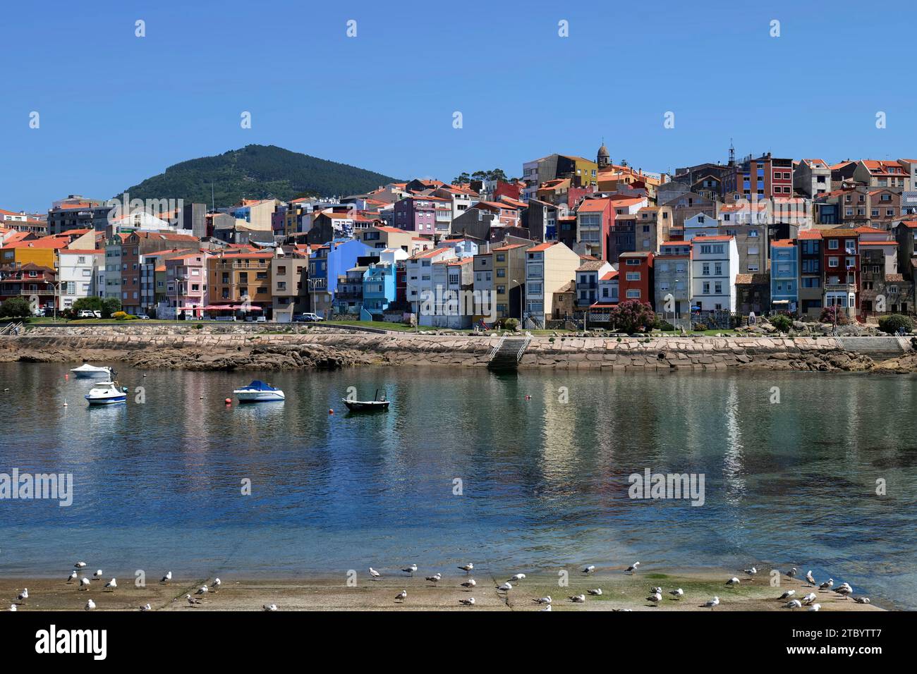 Farbenfrohe Häuser in Strandnähe in der Küstenstadt A Guarda, Galicien, Nordwesten Spaniens, Europa Stockfoto