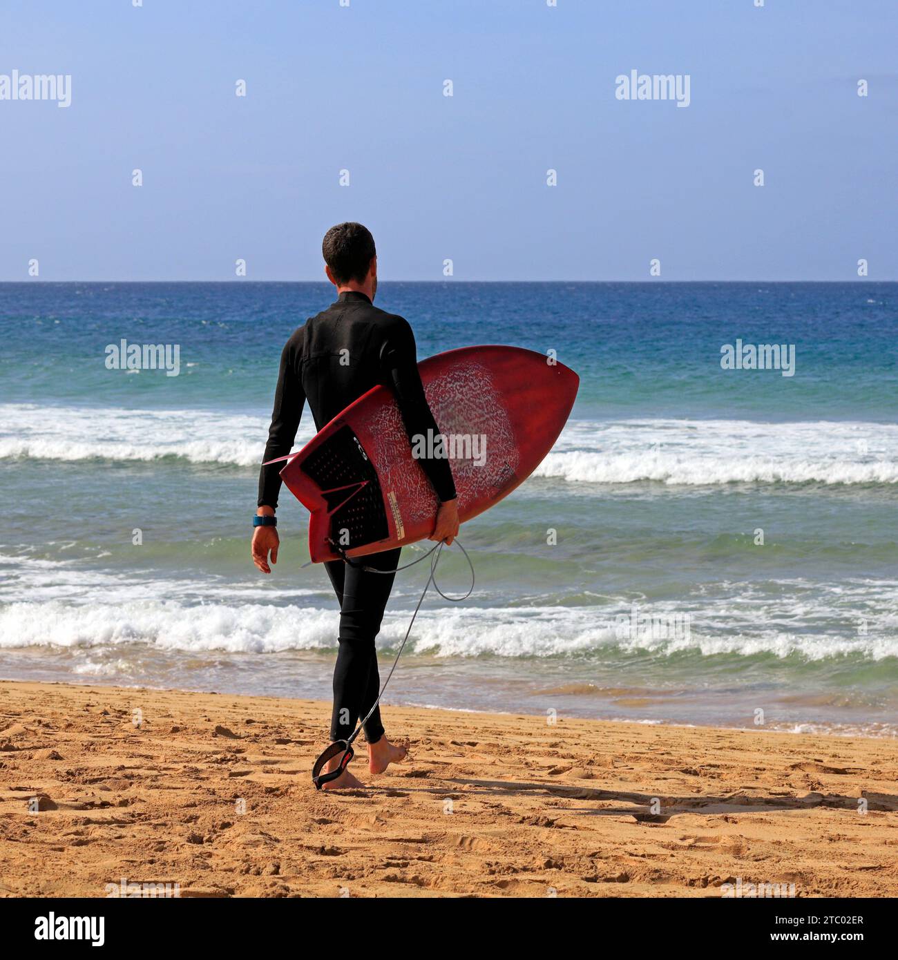 Mann im Neoprenanzug mit Surfbrett, der zum Meer geht, El Cotillo, Fuerteventura, Kanarische Inseln, Spanien. Vom November 2023. cym Stockfoto