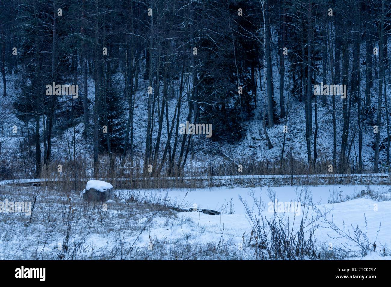 Wildtierlandschaft mit Schnee an einem kalten Winterabend in Litauen Stockfoto