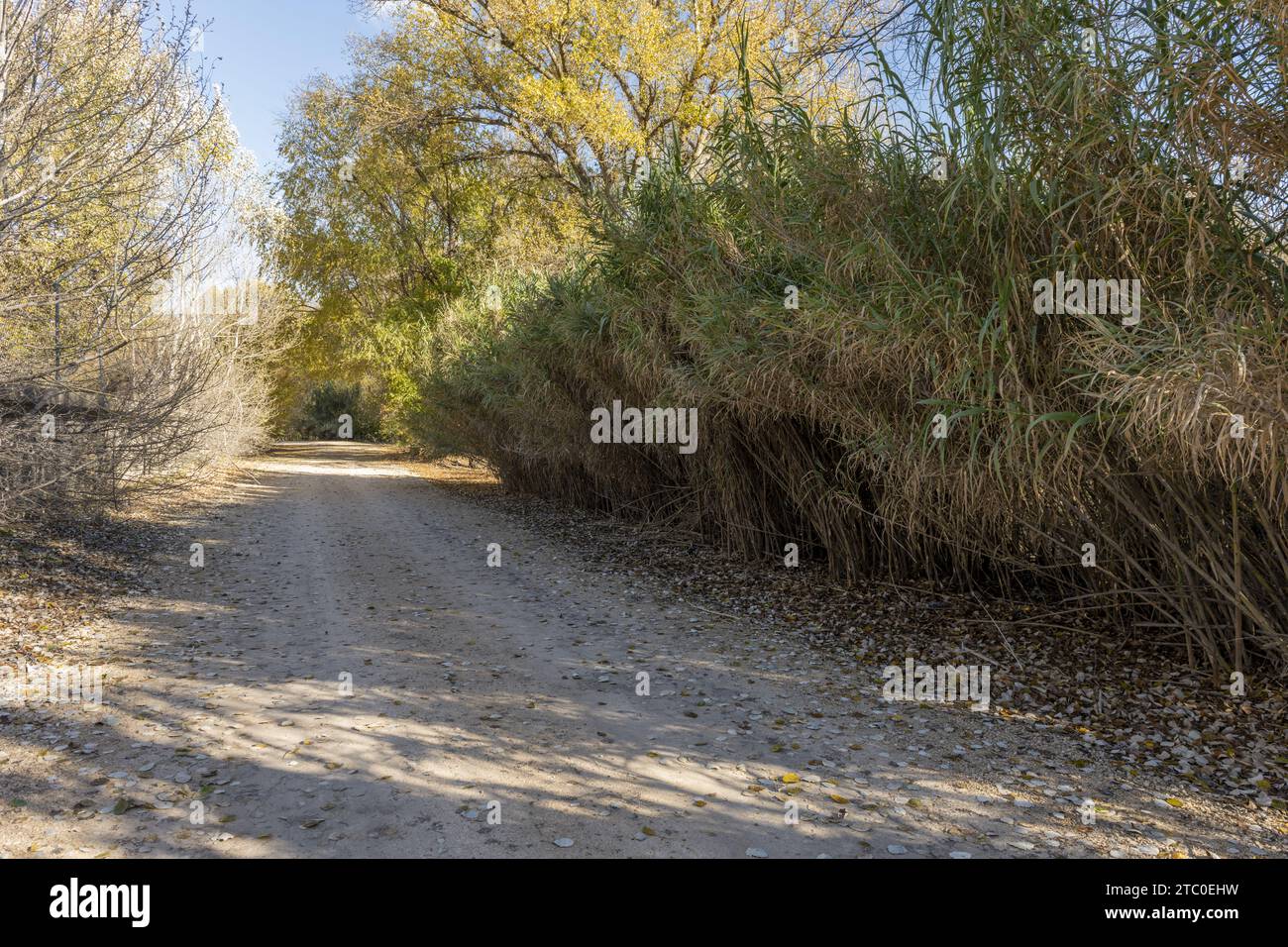 Eine unbefestigte Straße neben dem Ufer eines Flusses voll Stockfoto