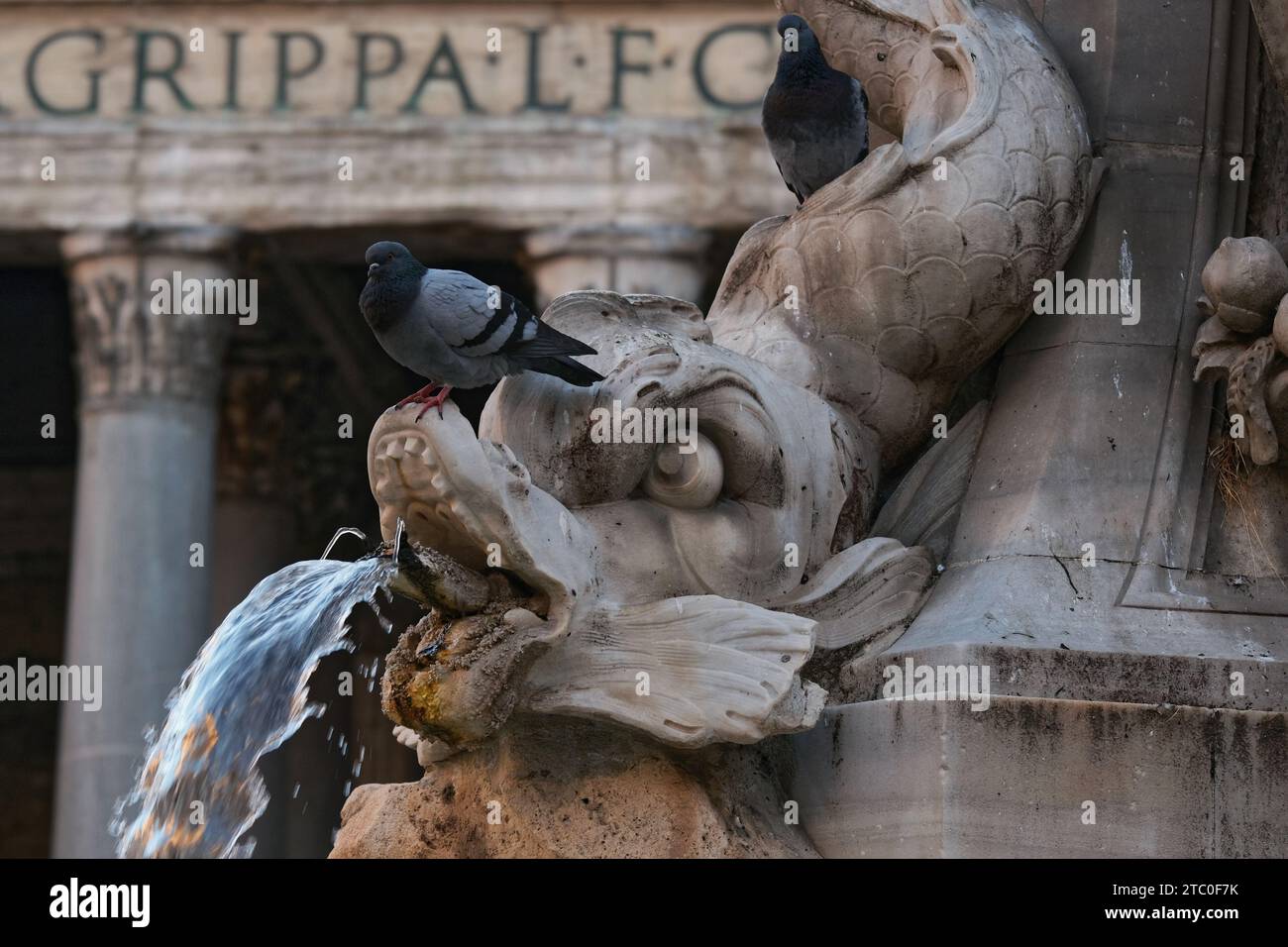 Fontana del Pantheon Stockfoto