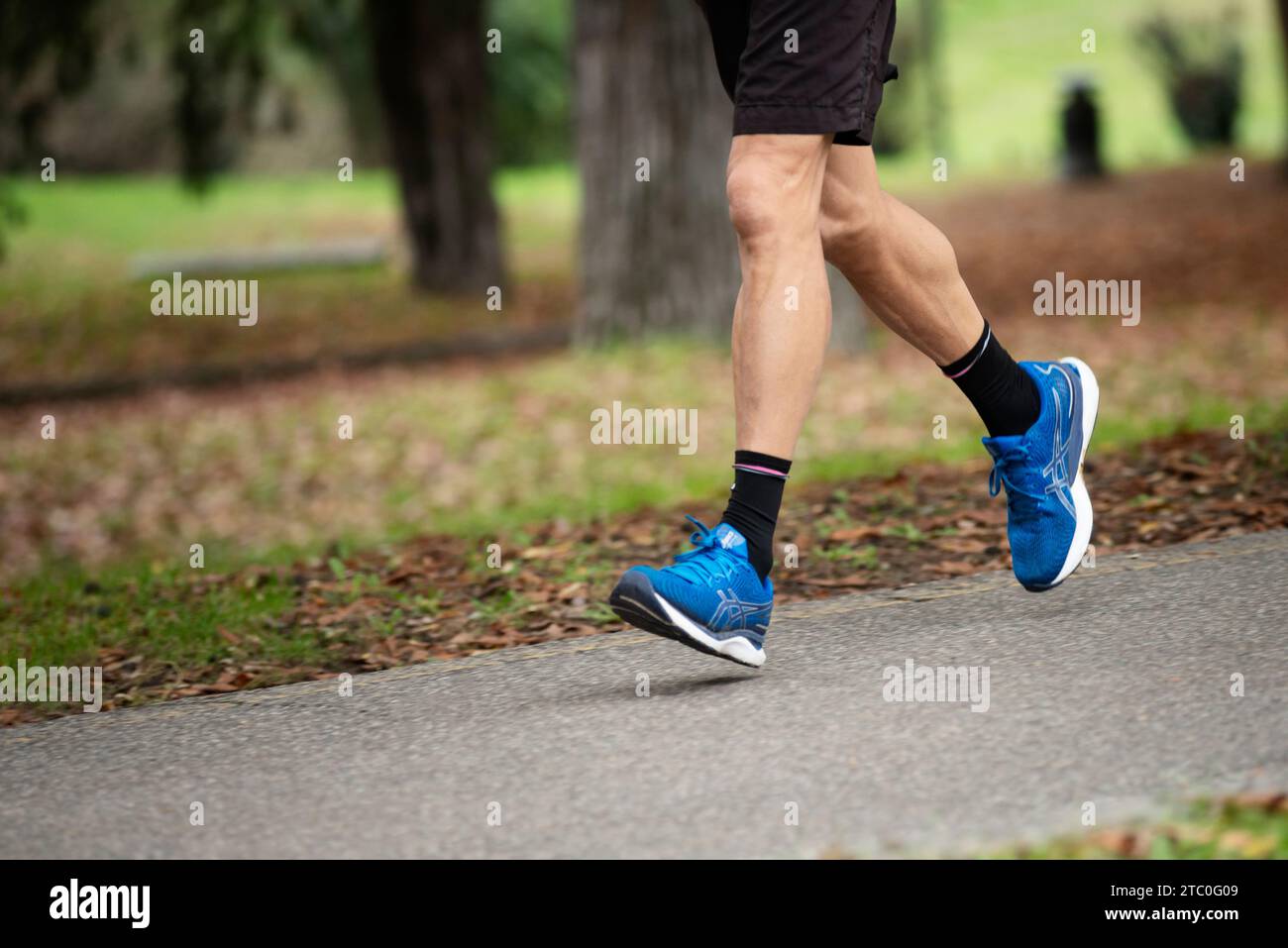 Nahaufnahme der Lauffüße Stockfoto